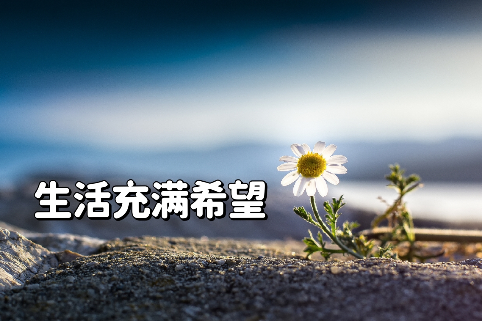 包含“最没希望的一年”，年底的S赛会是LPL的救命稻草吗？的词条